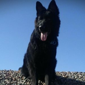 Meet your Posher, Tyra